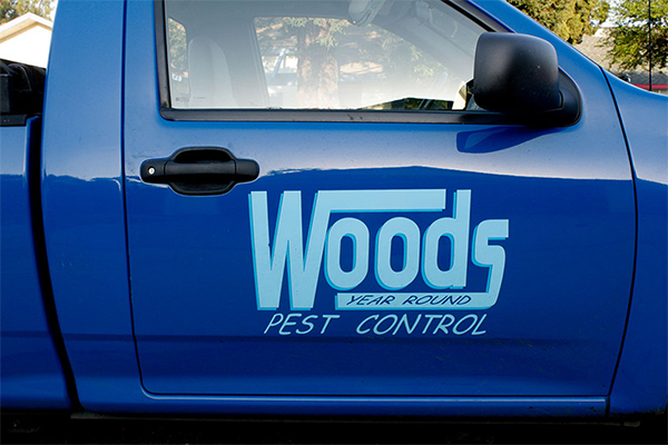 logo-on-vehicle